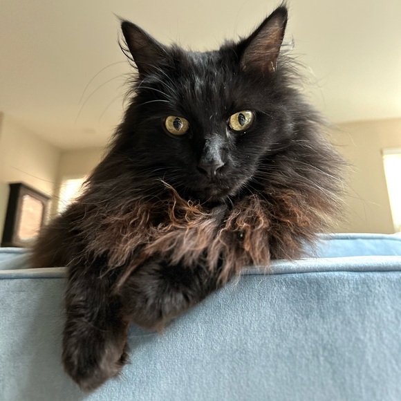 Welcome to Audshop🌟Poshmark Ambassador 🌟 - Picture 14 of 15